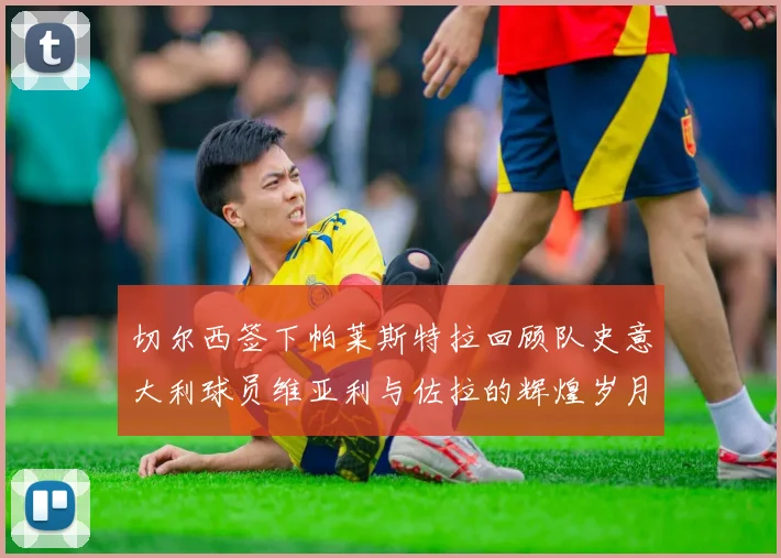 切尔西签下帕莱斯特拉回顾队史意大利球员维亚利与佐拉的辉煌岁月