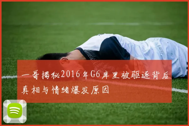 一哥揭秘2016年G6库里被驱逐背后真相与情绪爆发原因
